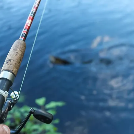 Virsuniemi By Interhome *