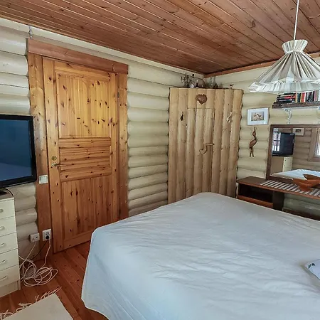 Virsuniemi By Interhome 度假居