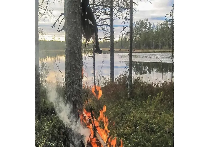 Dom wakacyjny Virsuniemi By Interhome Piispajärvi