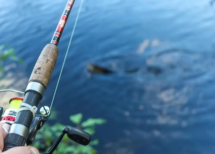 Virsuniemi By Interhome *